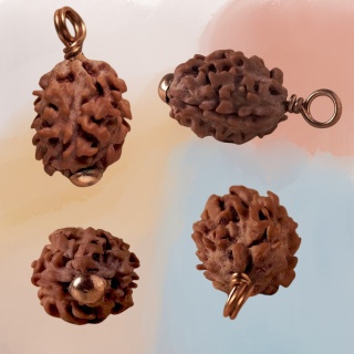 Rudraksha Panchamukhi Isha (fünfseitig) mit Kupferkette