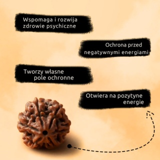 Shanmukhi - Rudraksha ISHA Shanmukhi 6-gesichtig geweiht in Dhyanalinga