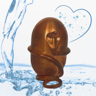 Jeevarasam Geweihtes Wasser ISHA