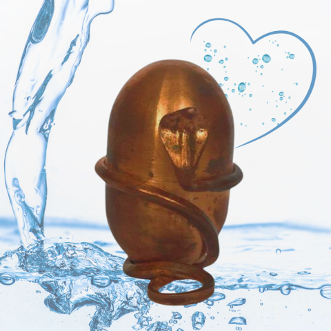 Jeevarasam Geweihtes Wasser ISHA