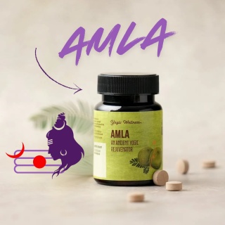 Amla Tabletten 60 Stk. ISHA