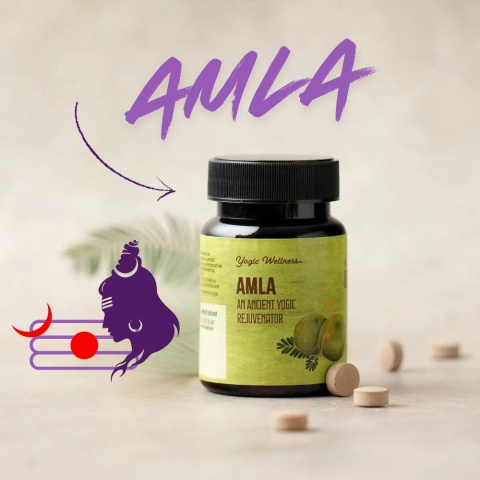 Amla Tabletten 60 Stk. ISHA