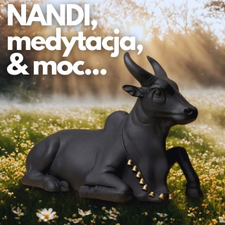 NANDI Würdevolle Meditation - ISHA