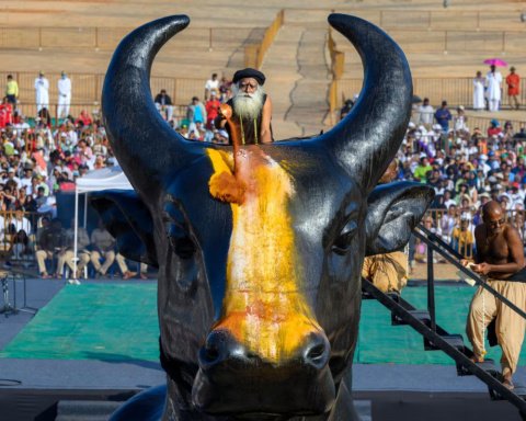 NANDI (Nandi-Statue von Isha Life) GROSS