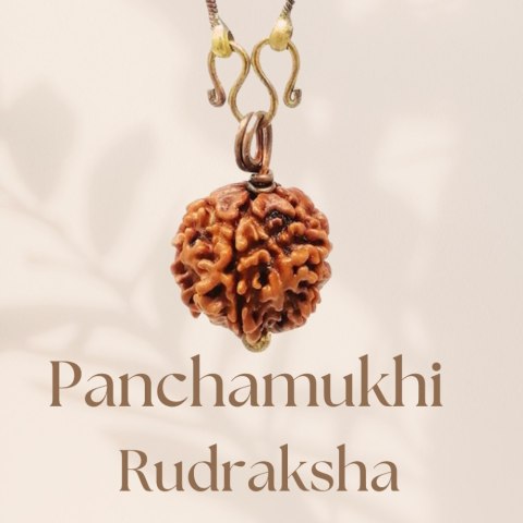 Lange Kette - Rudraksha Panchamukhi Isha (fünfseitig) mit Kupferkette